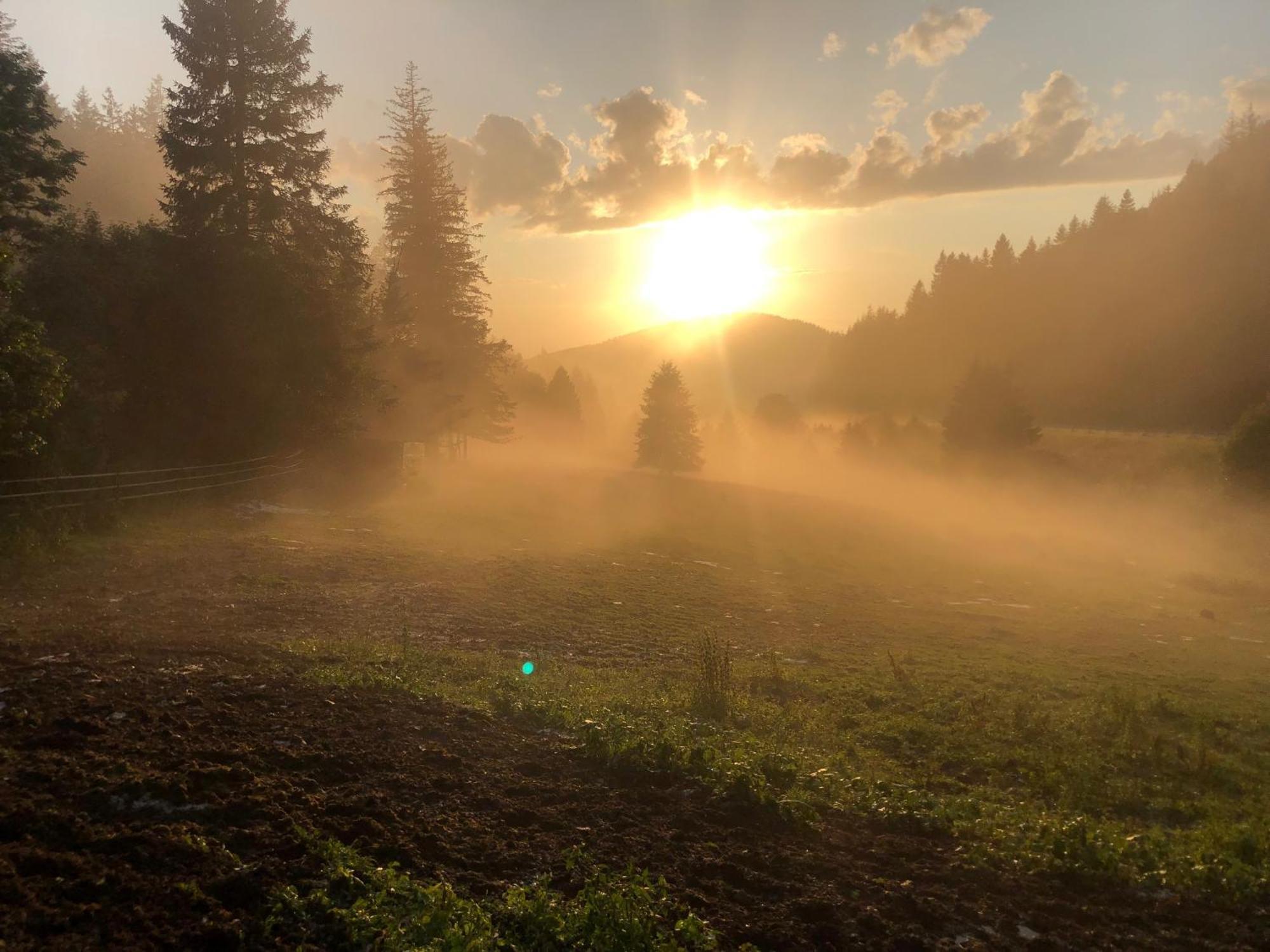 Waldhotel Auerhahn "Hochkopfhaus" Тодтнау Екстер'єр фото