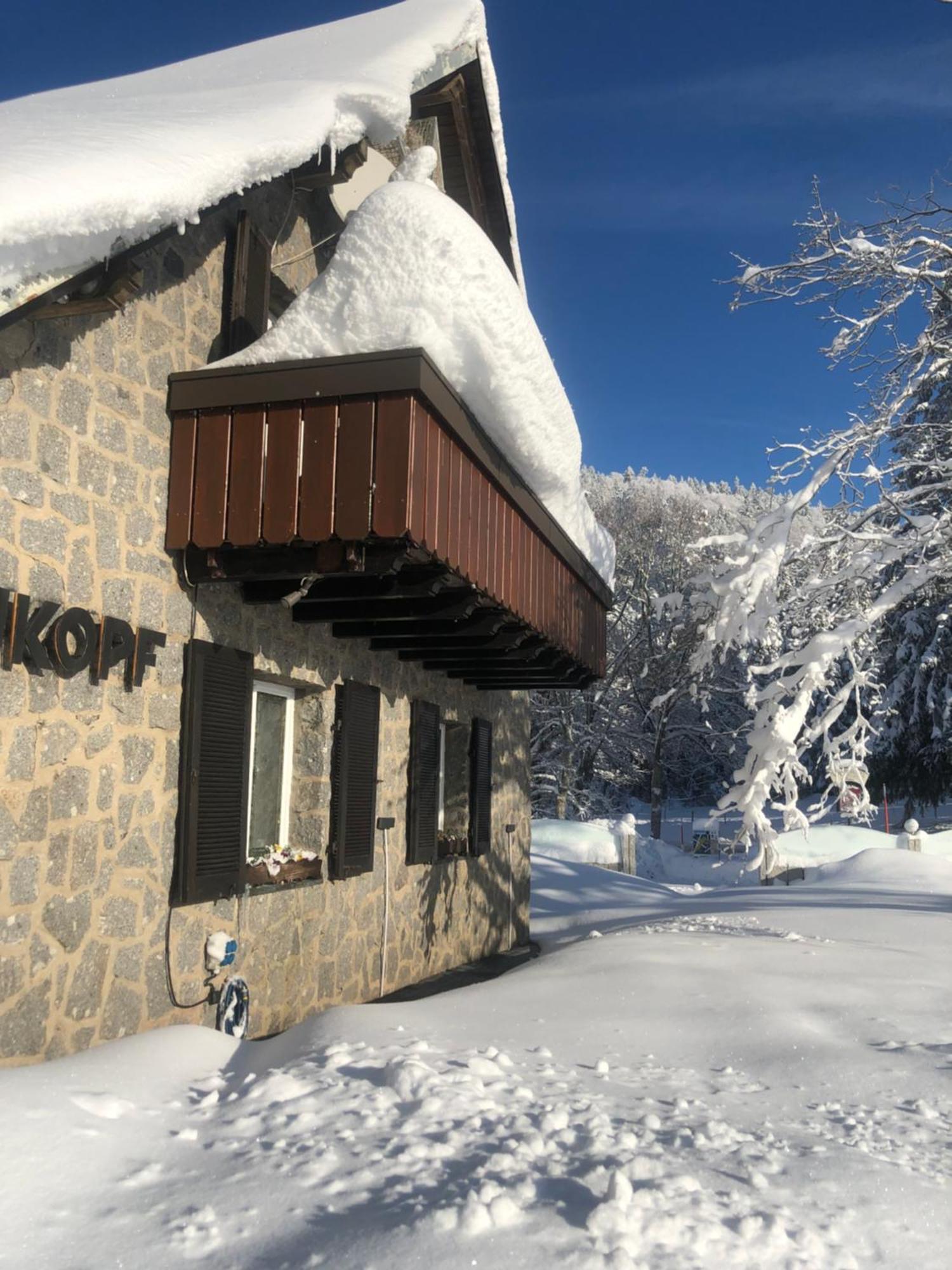 Waldhotel Auerhahn "Hochkopfhaus" Тодтнау Екстер'єр фото